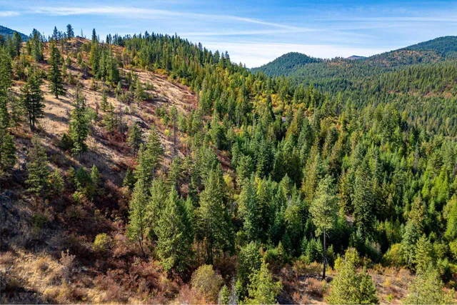 $110,000 | 3401 Red Marble Road, Valley, WA 99181