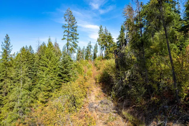 $110,000 | 3401 Red Marble Road, Valley, WA 99181