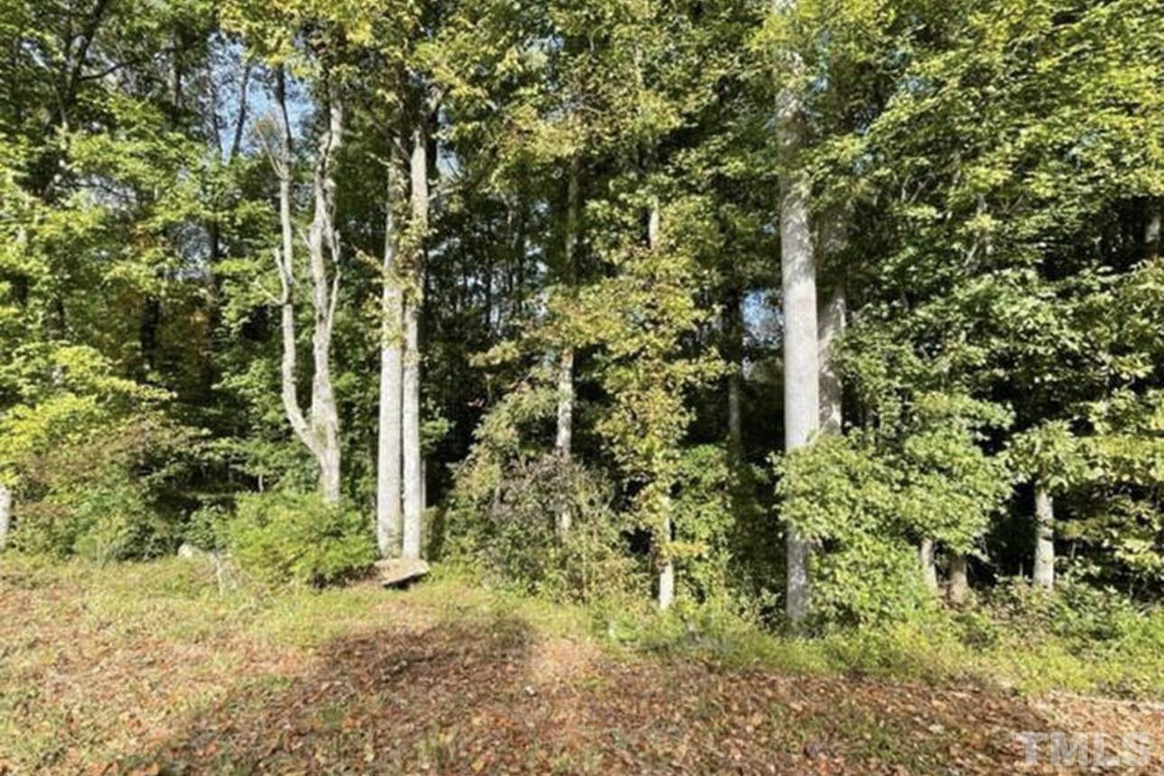 0 Hurdle Mills Road Roxboro, NC 27574 - Photo 2 of 5 a view of a garden with plants