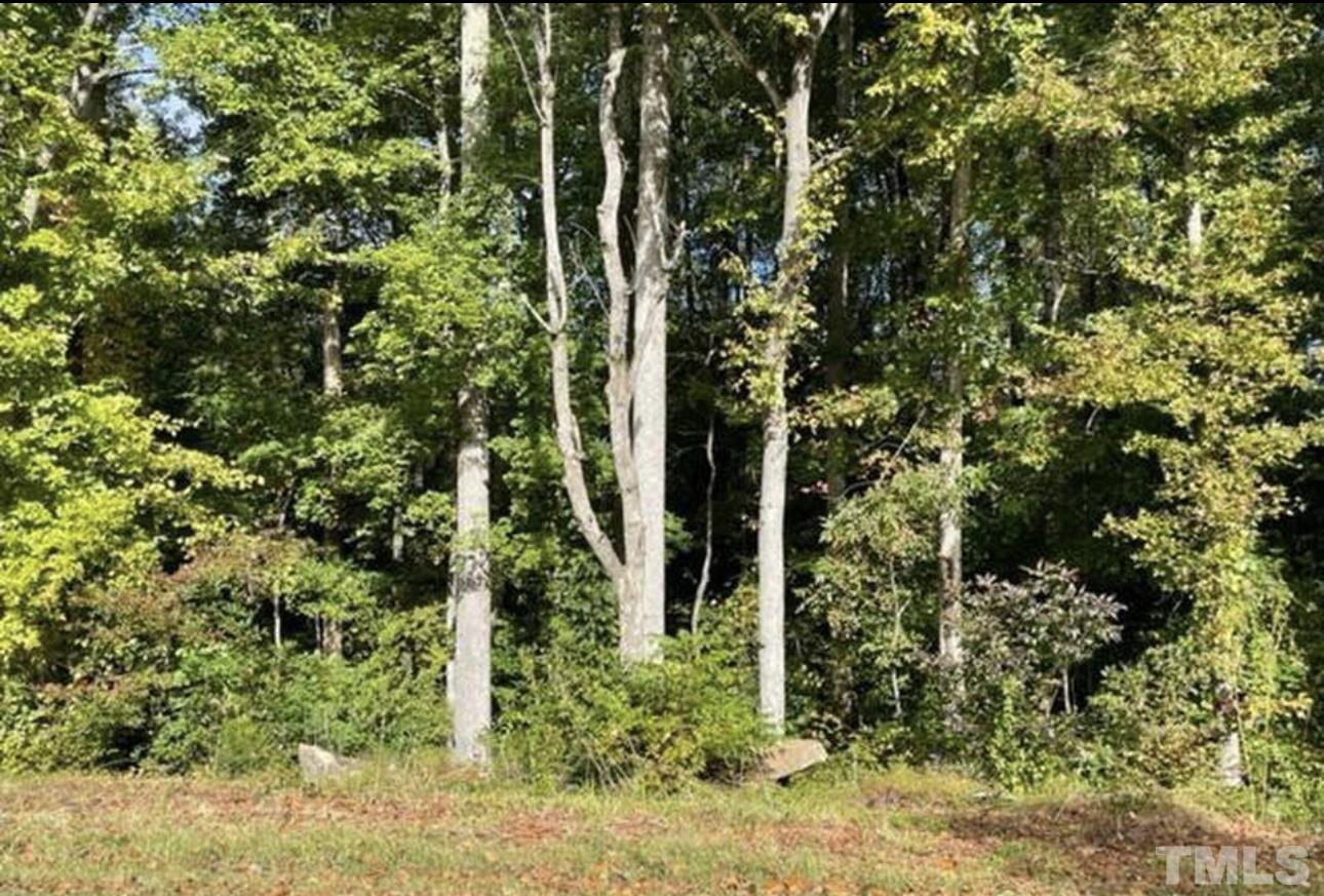 0 Hurdle Mills Road Roxboro, NC 27574 - Photo 3 of 5 a view of a plant in a garden