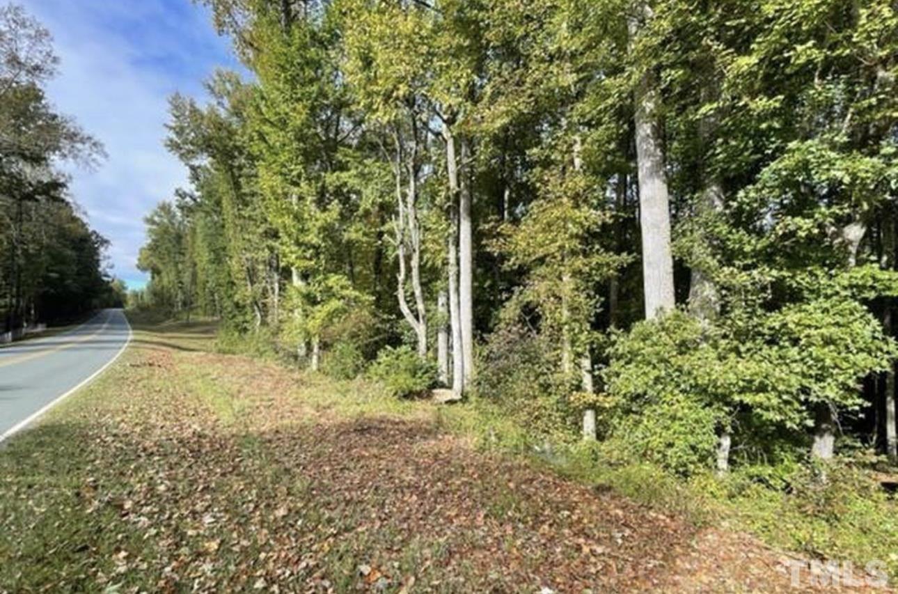 0 Hurdle Mills Road Roxboro, NC 27574 - Photo 4 of 5 a view of a yard with plants and trees