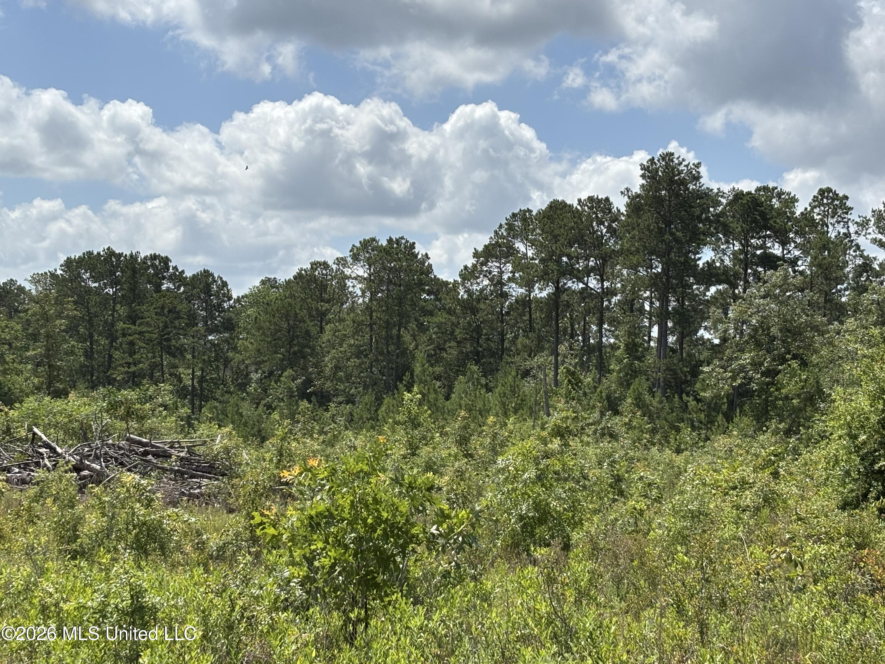 196 South County Line Road Lumberton, MS 39455 - Photo 6 of 18 IMG_2993