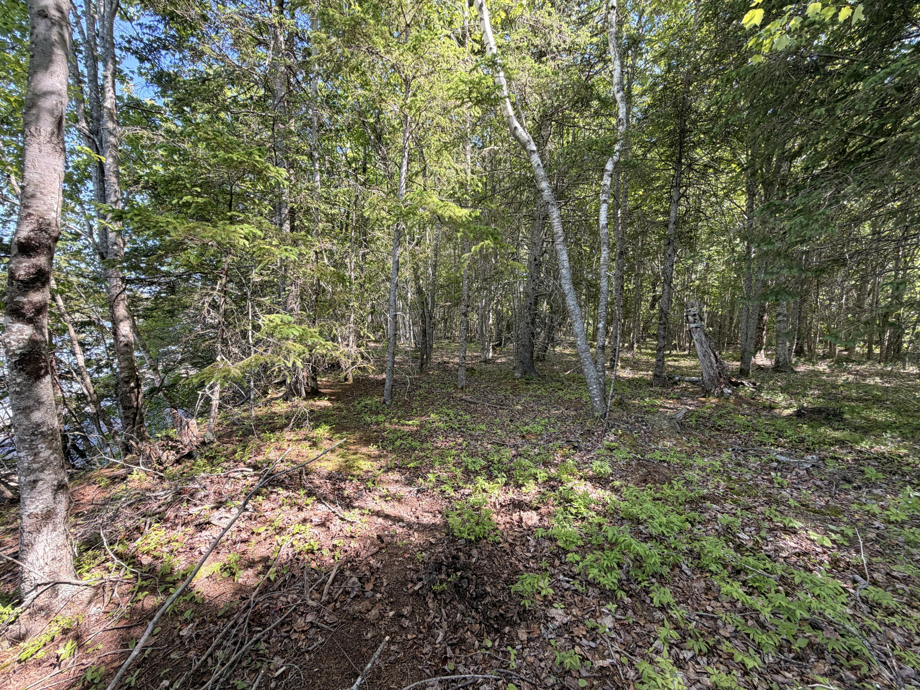 M5-l42 Hooke Road Harrington, ME 04643 - Photo 30 of 33