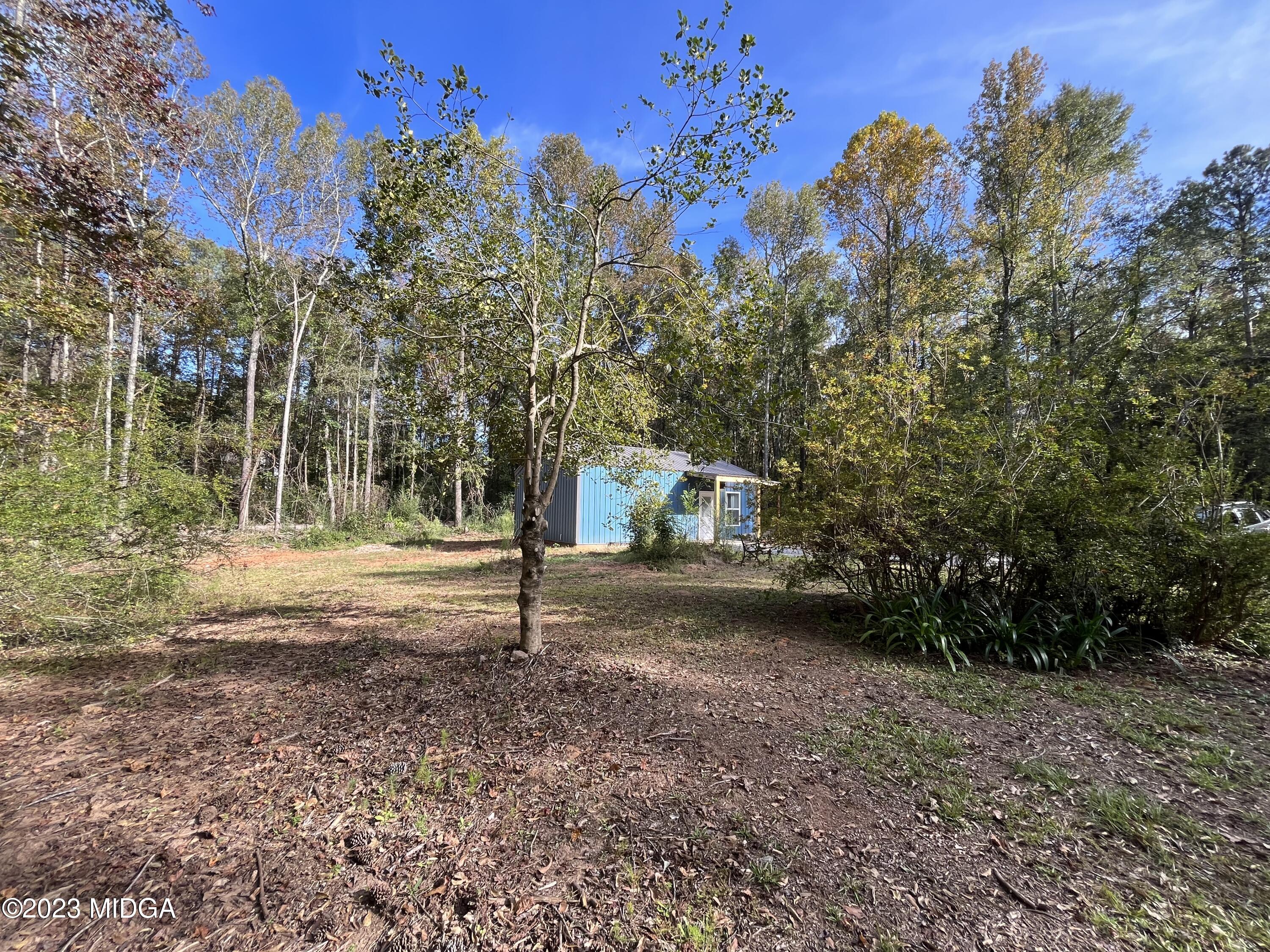 368 Mott Road Barnesville, GA 30204 - Photo 15 of 17 a view of a yard with a tree