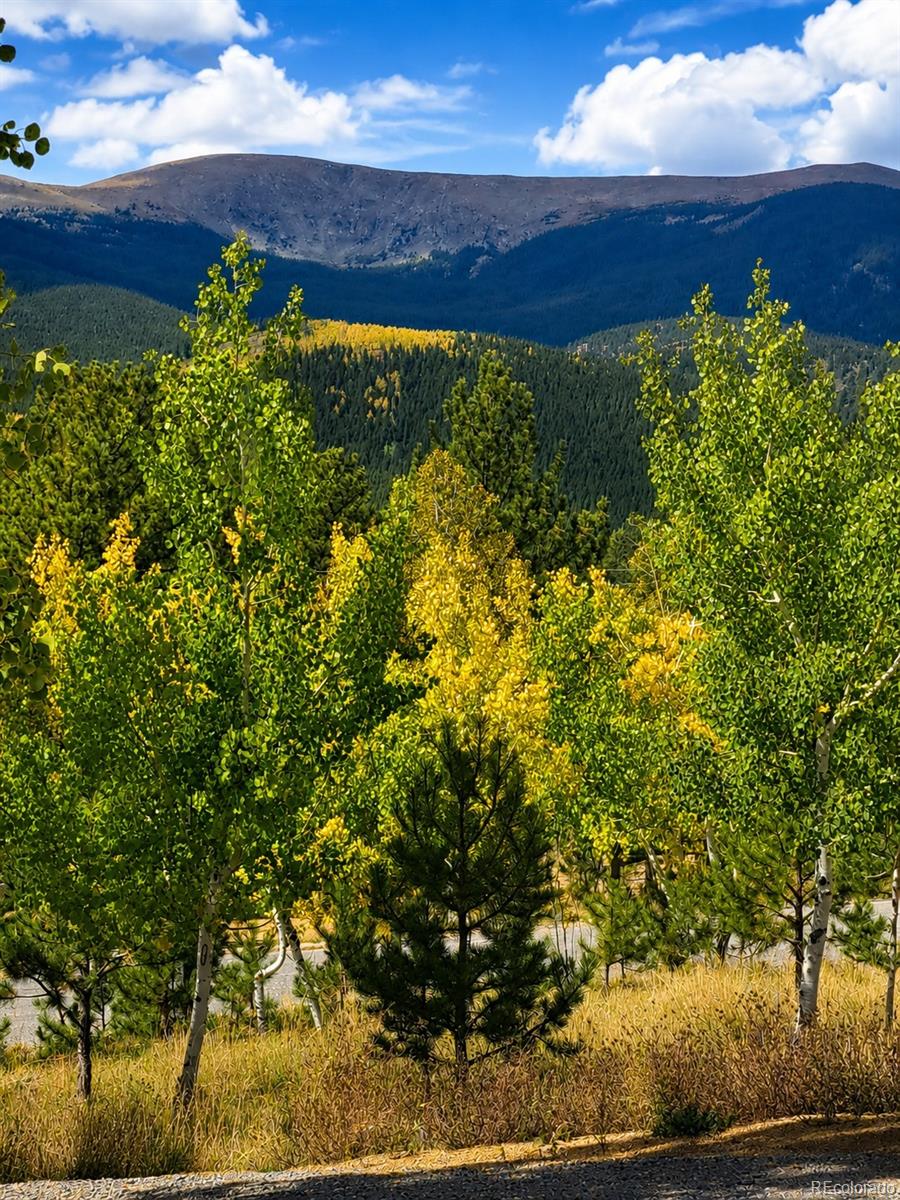 388 Clark Road Bailey, CO 80421 - Photo 44 of 50
