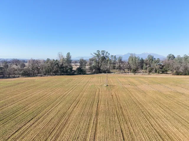 a view of swimming pool with large trees and buildings in the background