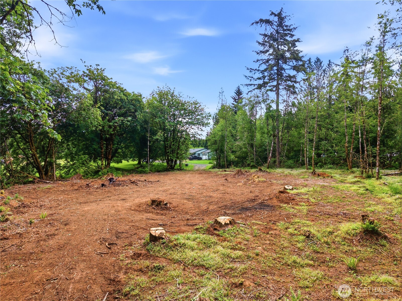 210 Vermillion Road Chehalis, WA 98532 - Photo 13 of 18 a backyard of a house with lots of green space