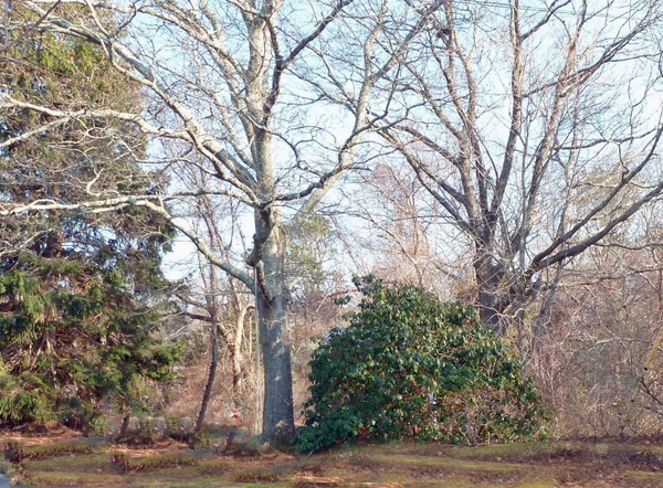 67 Manomet Point Road Plymouth, MA 02360 - Photo 1 of 3 Gallery Image 1