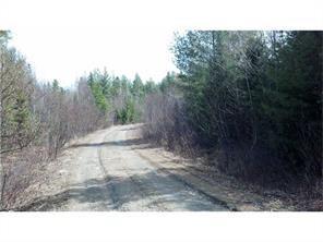 Off Greenfield Road Greenbush, ME 04418 - Photo 7 of 17 Photo