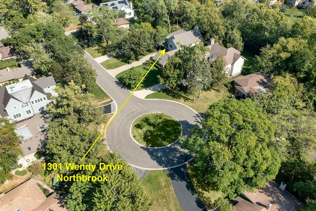a view of a garden with plants