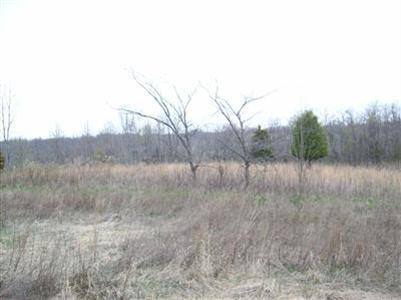 1 Aarons Run Road Mount Sterling, KY 40353 - Photo 9 of 9 Photo 10