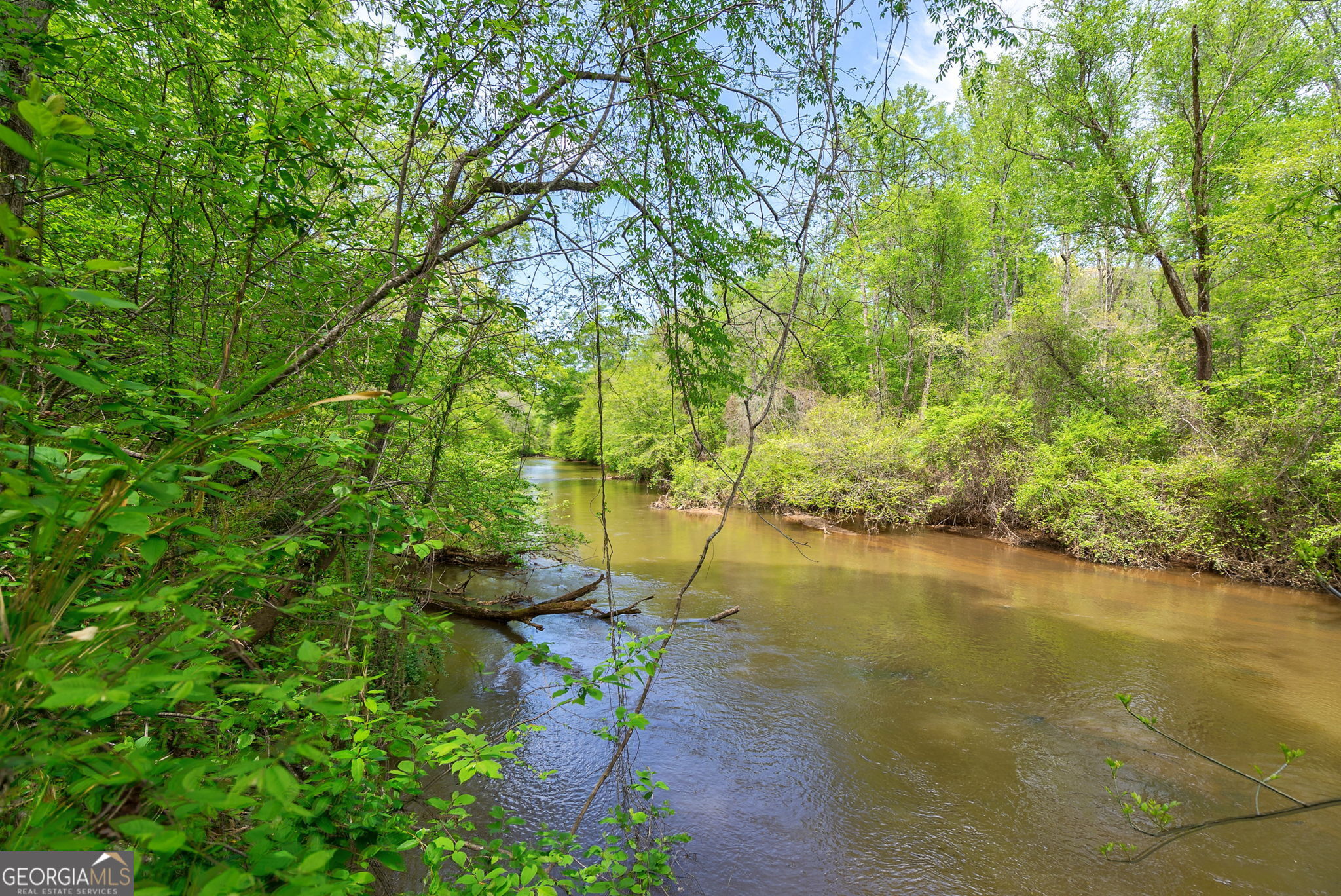 600 Piney Grove Road Carlton, GA 30627 - Photo 44 of 63