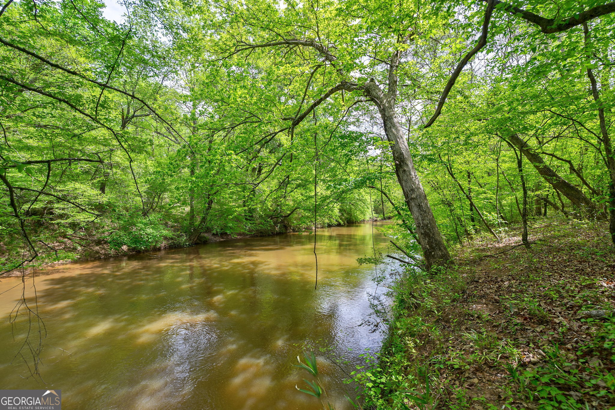 600 Piney Grove Road Carlton, GA 30627 - Photo 45 of 63