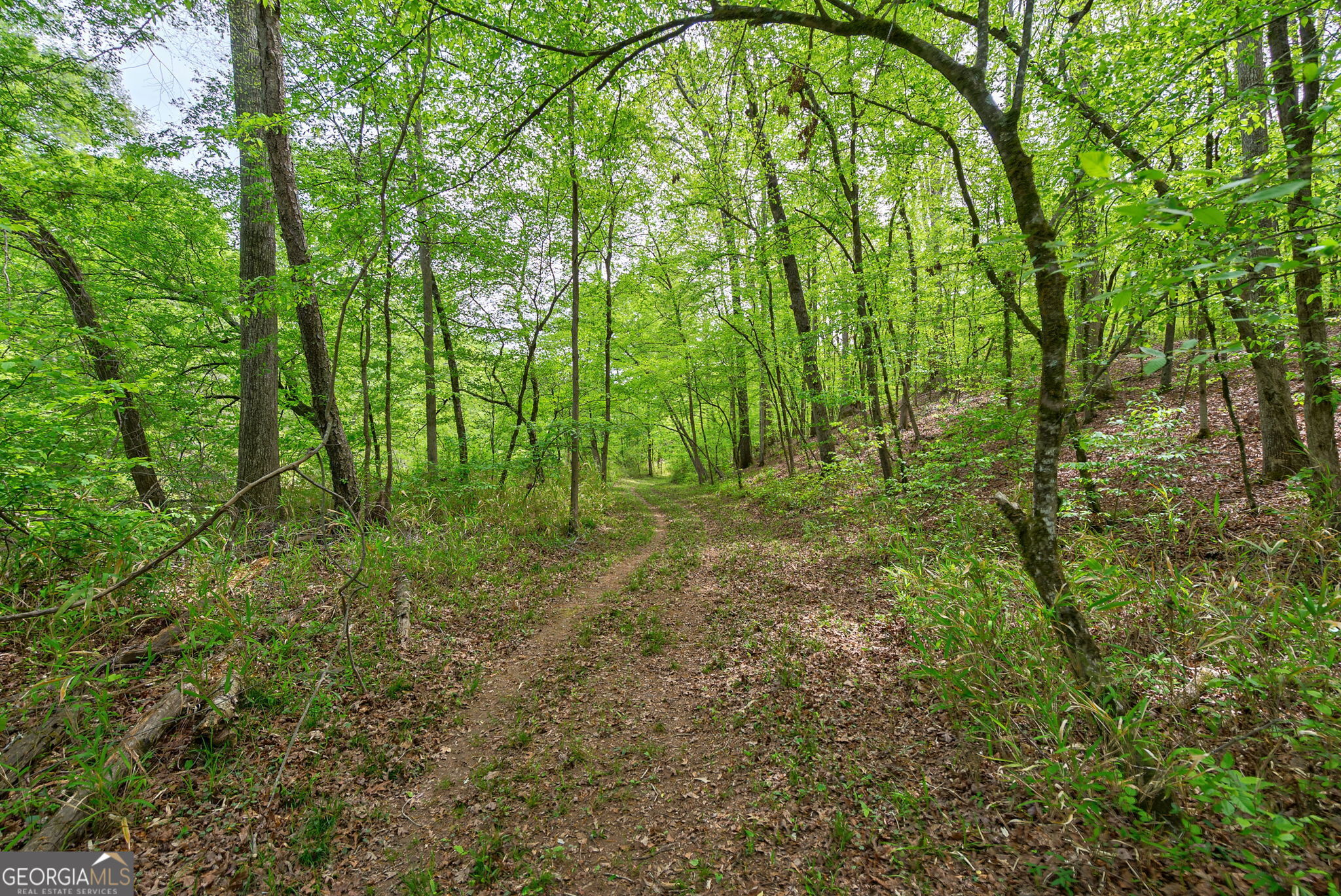 600 Piney Grove Road Carlton, GA 30627 - Photo 46 of 63