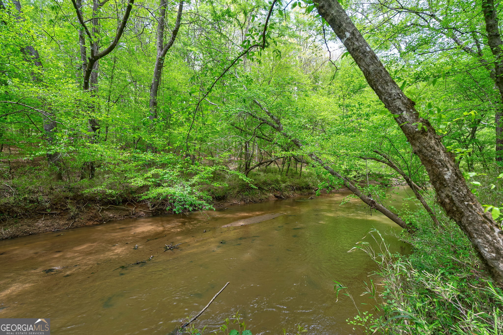 600 Piney Grove Road Carlton, GA 30627 - Photo 48 of 63