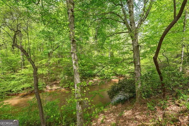 $1,250,000 | 600 Piney Grove Road, Carlton, GA 30627