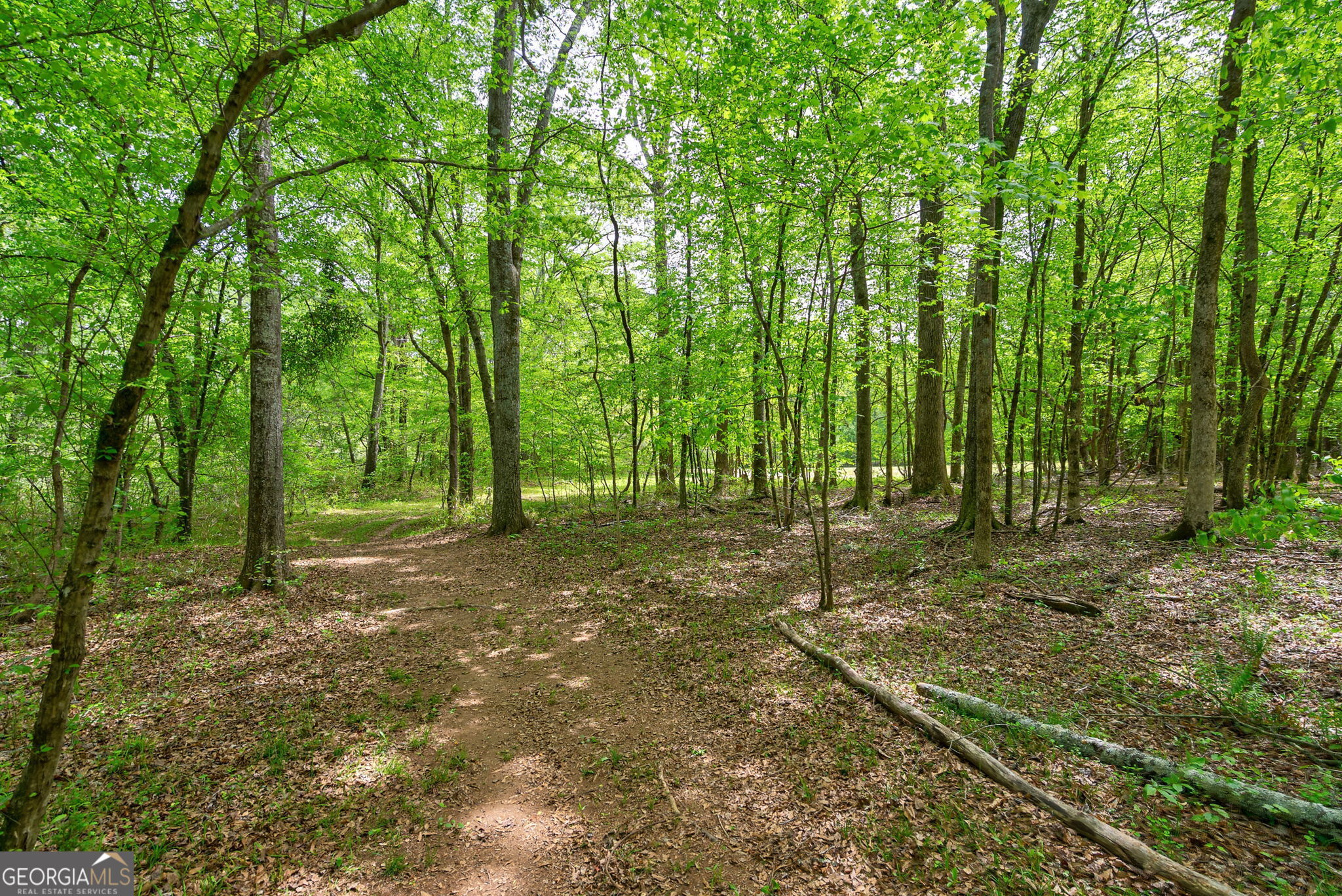 600 Piney Grove Road Carlton, GA 30627 - Photo 50 of 63