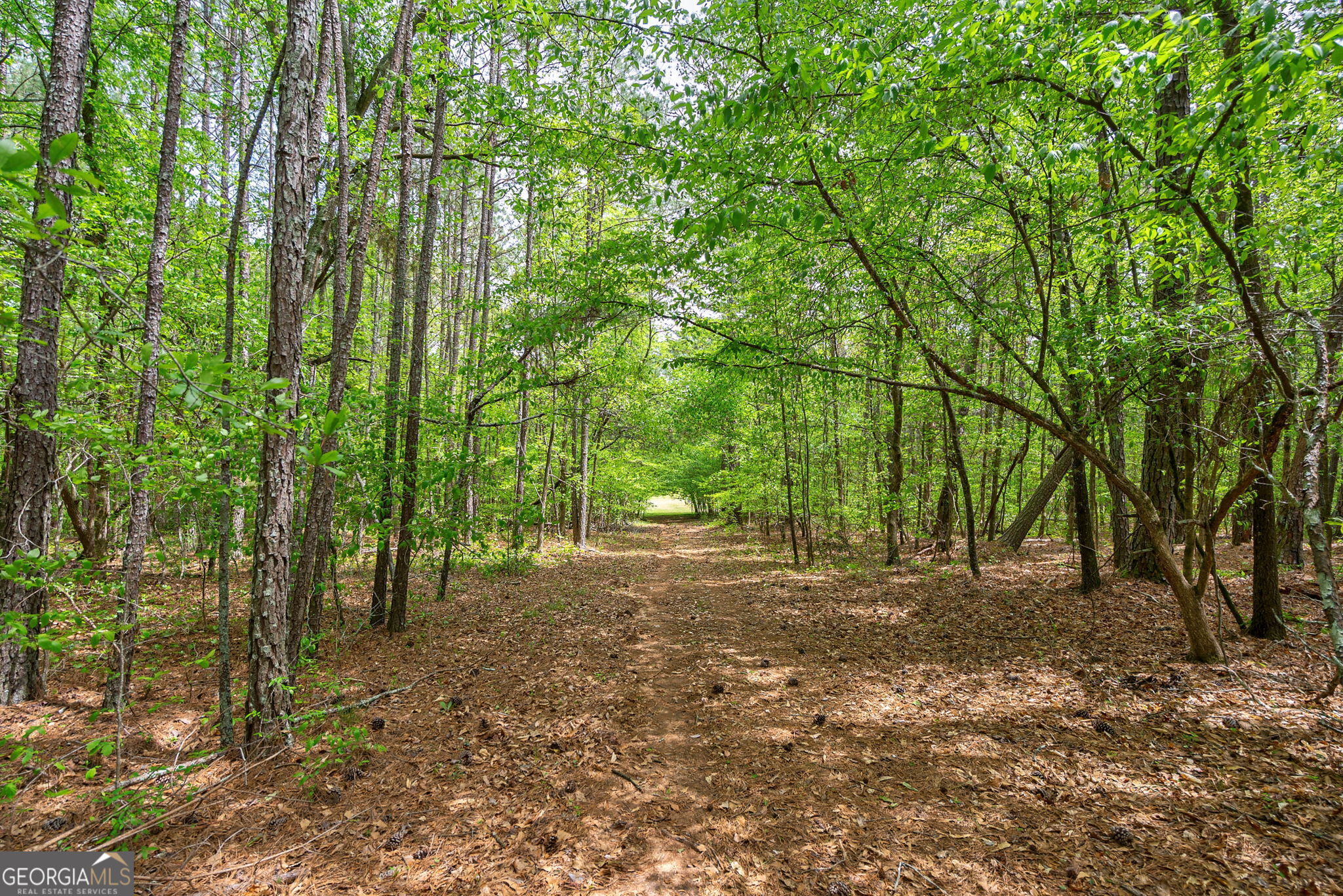 600 Piney Grove Road Carlton, GA 30627 - Photo 53 of 63