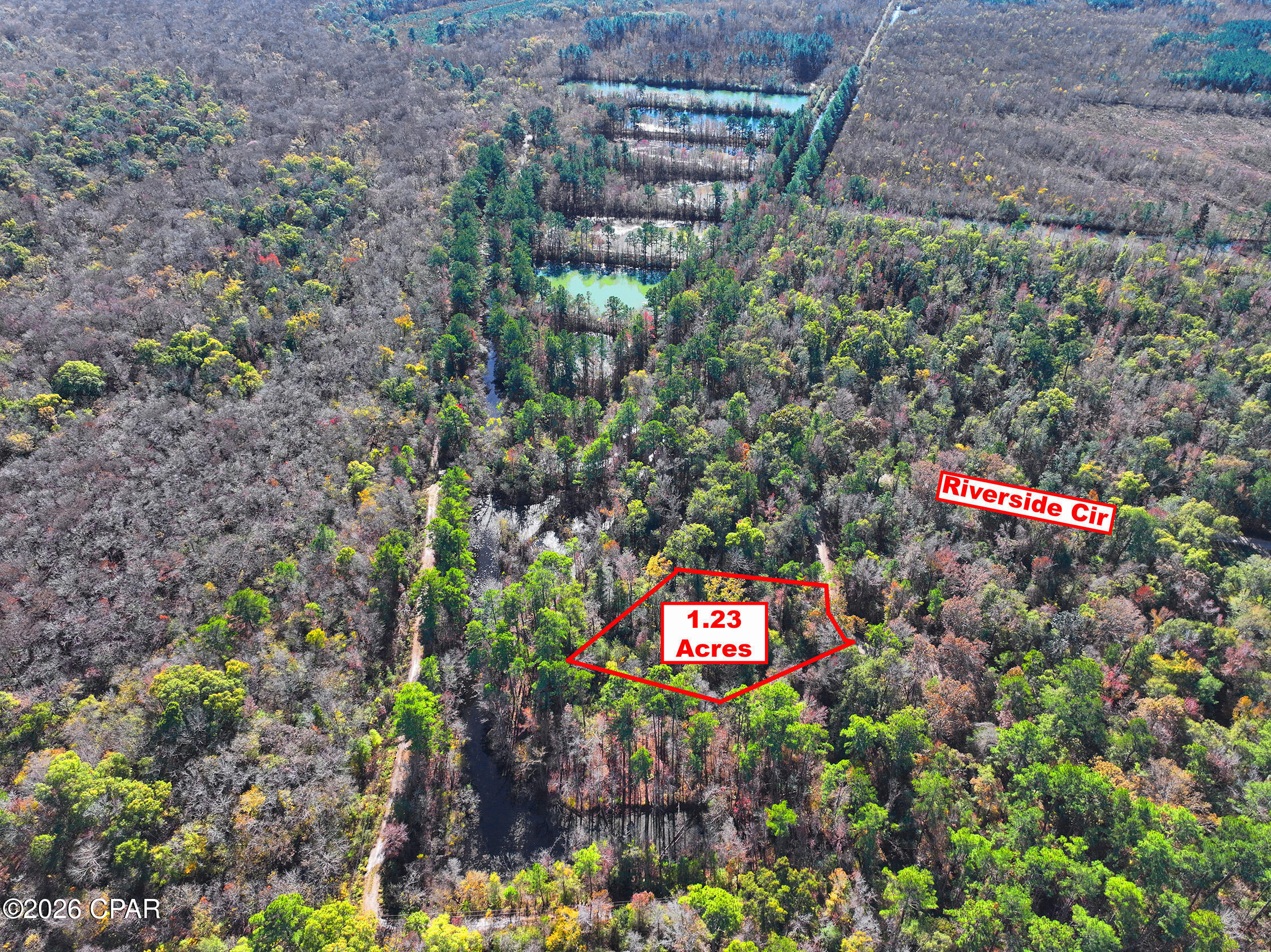 254 Riverside Circle Wewahitchka, FL 32465 - Photo 2 of 6