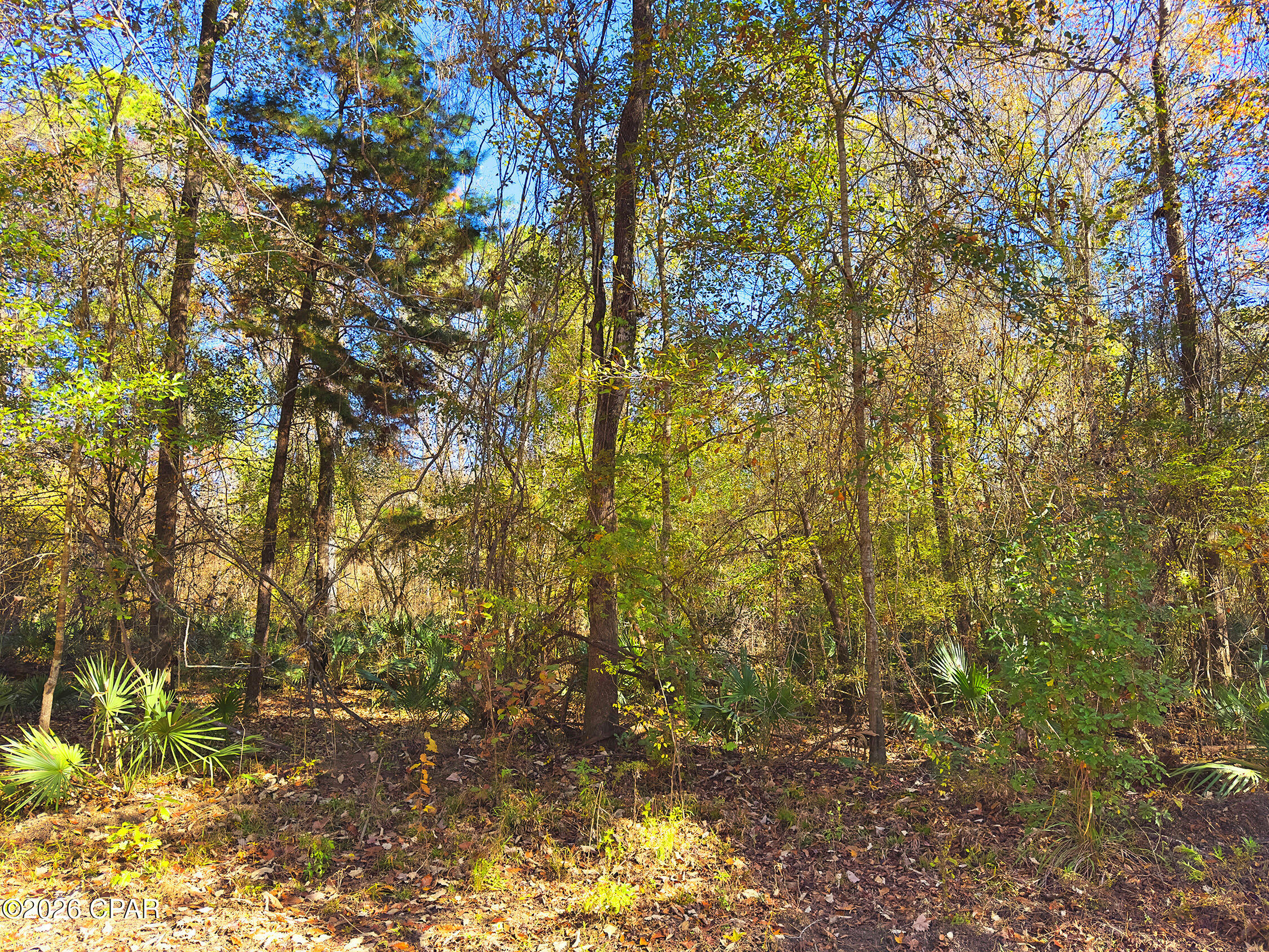 254 Riverside Circle Wewahitchka, FL 32465 - Photo 6 of 6