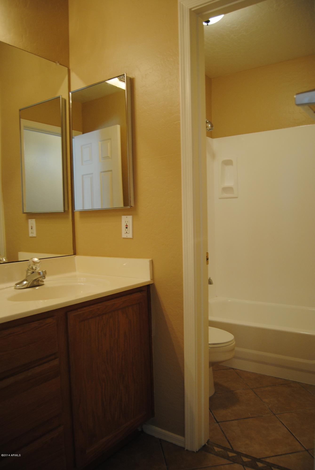 11515 East Decatur Street Mesa, AZ 85207 - Photo 12 of 24 Hall Bath