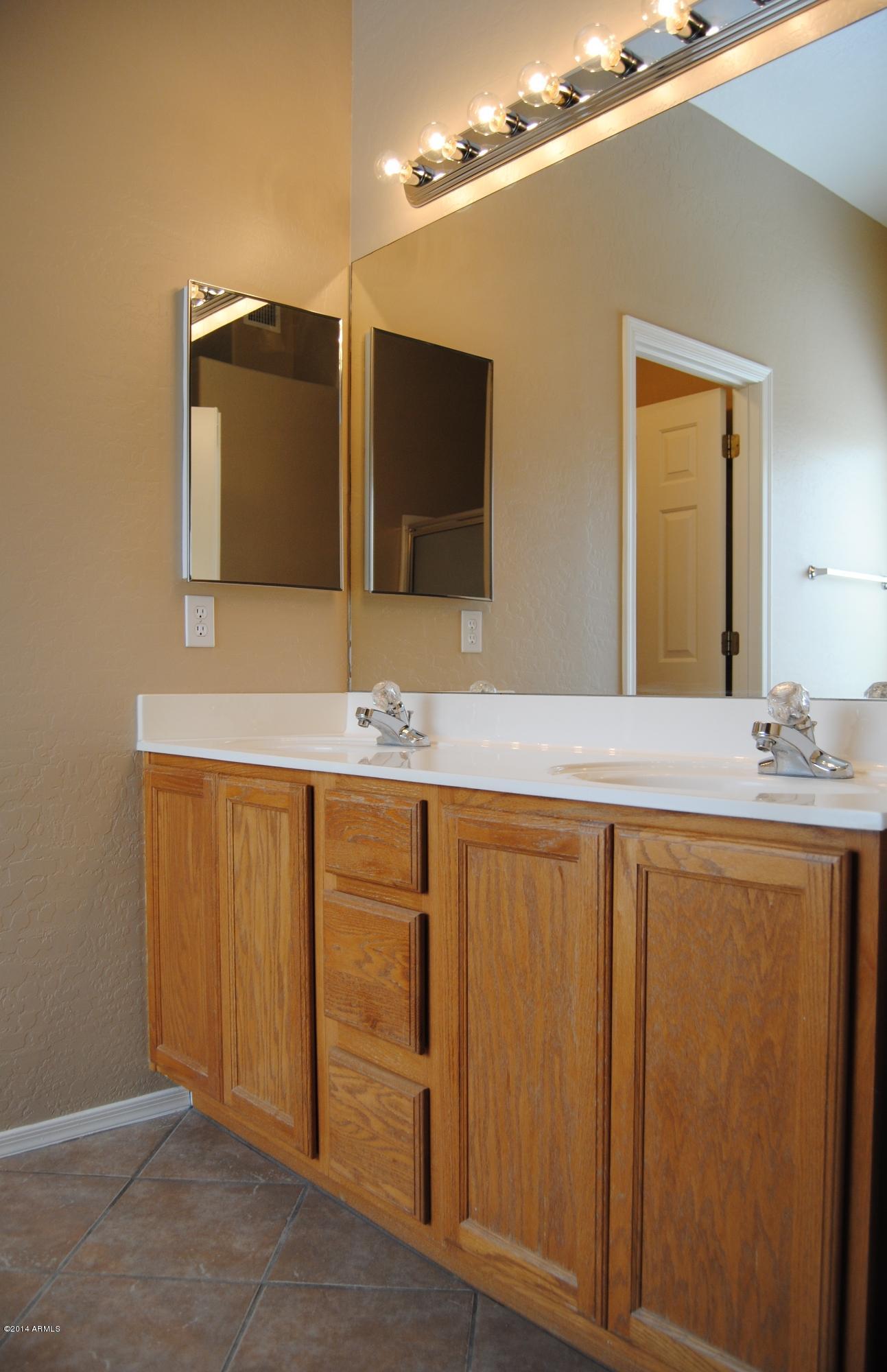 11515 East Decatur Street Mesa, AZ 85207 - Photo 8 of 24 Master Dual Vanity