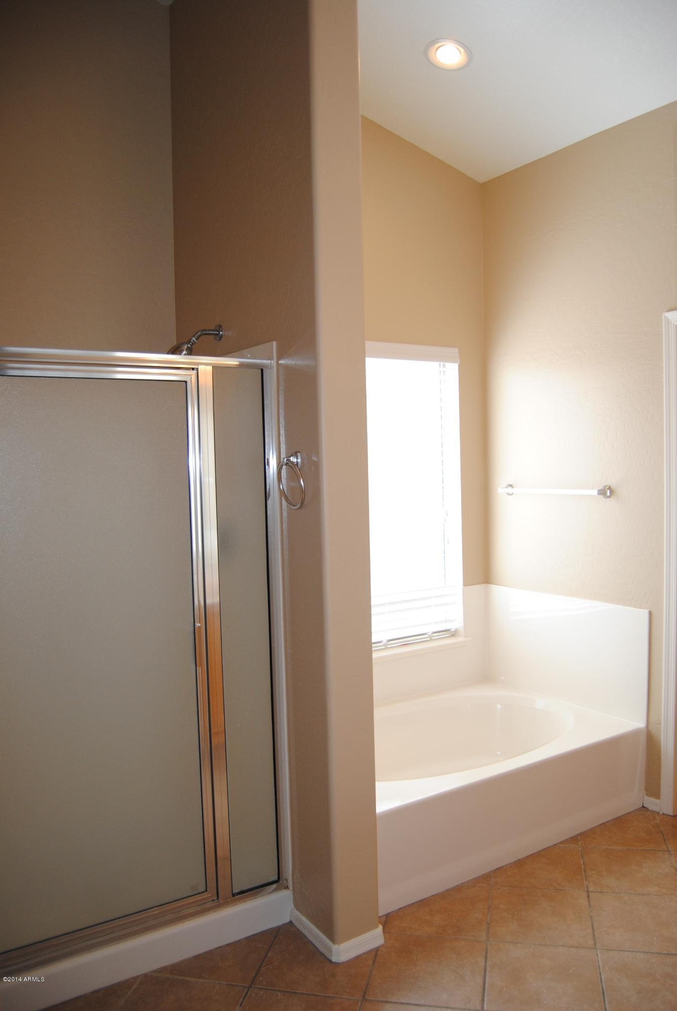 11515 East Decatur Street Mesa, AZ 85207 - Photo 9 of 24 Master Separate Tub & Shower