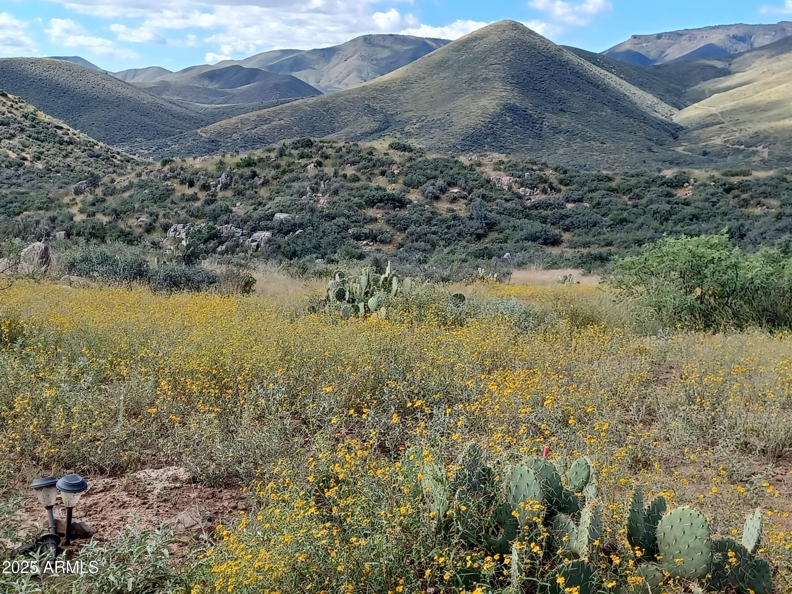 5668 Miners Pick Road Mayer, AZ 86333 - Photo 17 of 39 KIMC4058