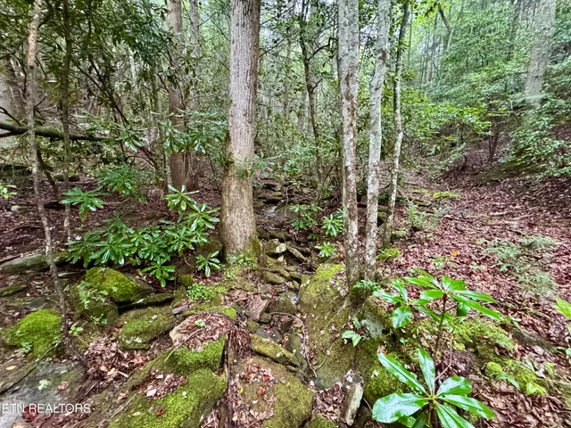 $1,500,000 | North Of Adams Ridge Road, Lancing, TN 37770