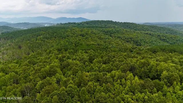 $1,500,000 | North Of Adams Ridge Road, Lancing, TN 37770