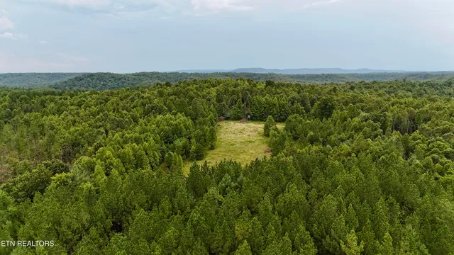 $1,500,000 | North Of Adams Ridge Road, Lancing, TN 37770