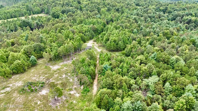 $1,500,000 | North Of Adams Ridge Road, Lancing, TN 37770