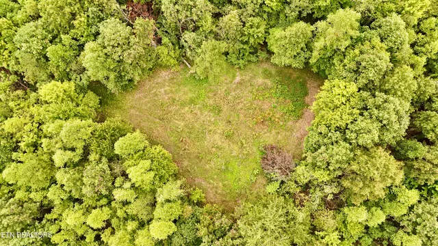 $1,500,000 | North Of Adams Ridge Road, Lancing, TN 37770
