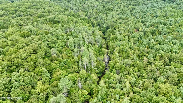 $1,500,000 | North Of Adams Ridge Road, Lancing, TN 37770