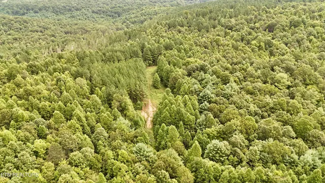 $1,500,000 | North Of Adams Ridge Road, Lancing, TN 37770