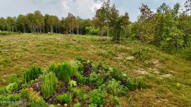 $1,500,000 | North Of Adams Ridge Road, Lancing, TN 37770