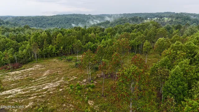 $1,500,000 | North Of Adams Ridge Road, Lancing, TN 37770