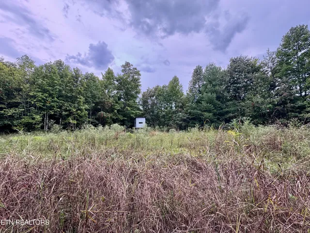 $1,500,000 | North Of Adams Ridge Road, Lancing, TN 37770