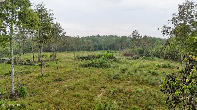 $1,500,000 | North Of Adams Ridge Road, Lancing, TN 37770