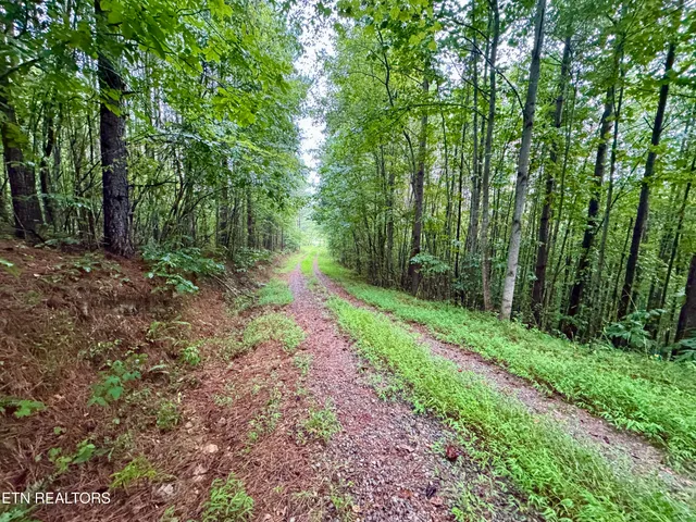 $1,500,000 | North Of Adams Ridge Road, Lancing, TN 37770