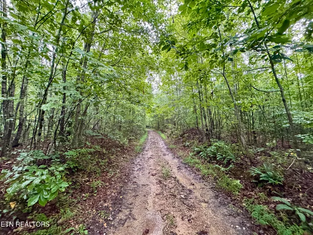 $1,500,000 | North Of Adams Ridge Road, Lancing, TN 37770