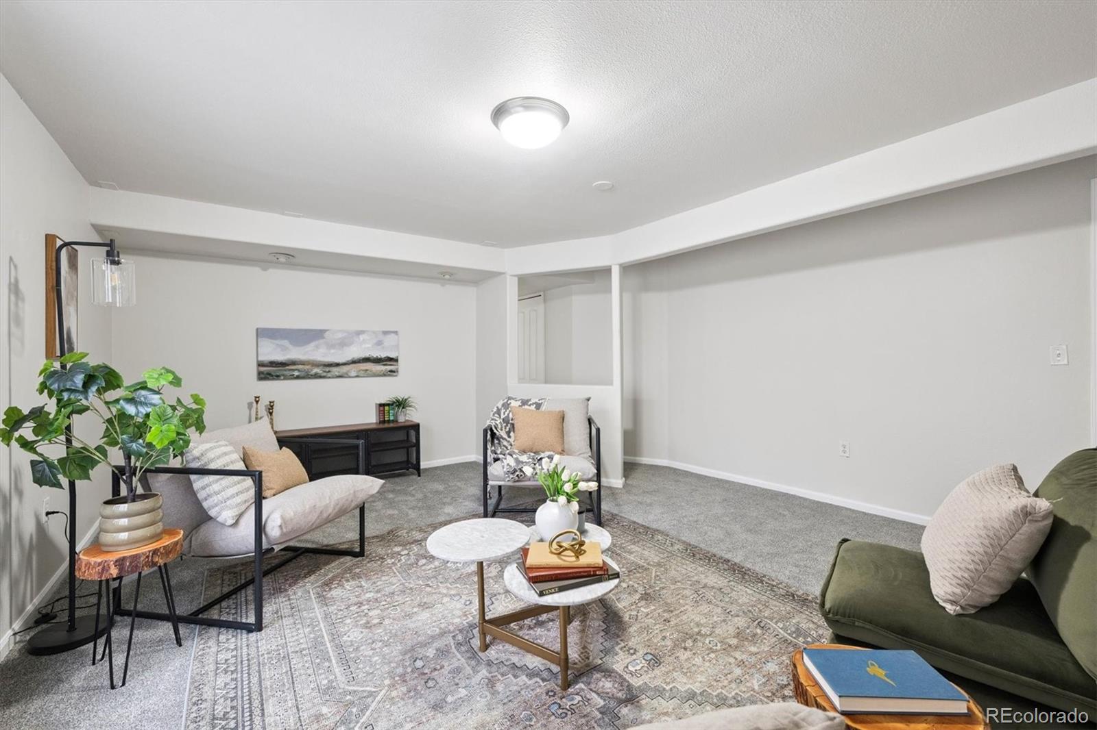 5241 Helena Street Denver, CO 80239 - Photo 19 of 28 a living room with furniture and a potted plant