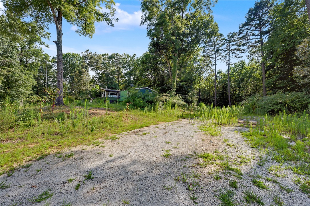 266 Ledford Farm Road Fair Play, SC 29643 - Photo 30 of 34 Discover a private, wooded sanctuary with a quaint dwelling set amidst natural greenery.