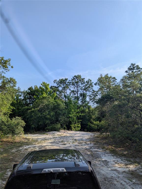 19036 Retriever Road Brooksville, FL 34614 - Photo 6 of 6 a view of a street