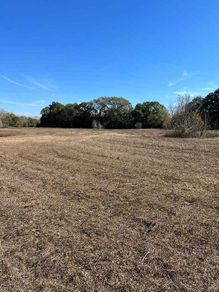 0 Gilmore Road Dothan, AL 36305 - Photo 7 of 7