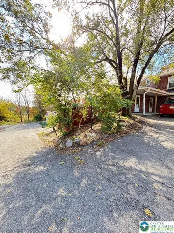 a view of a yard with plants and trees