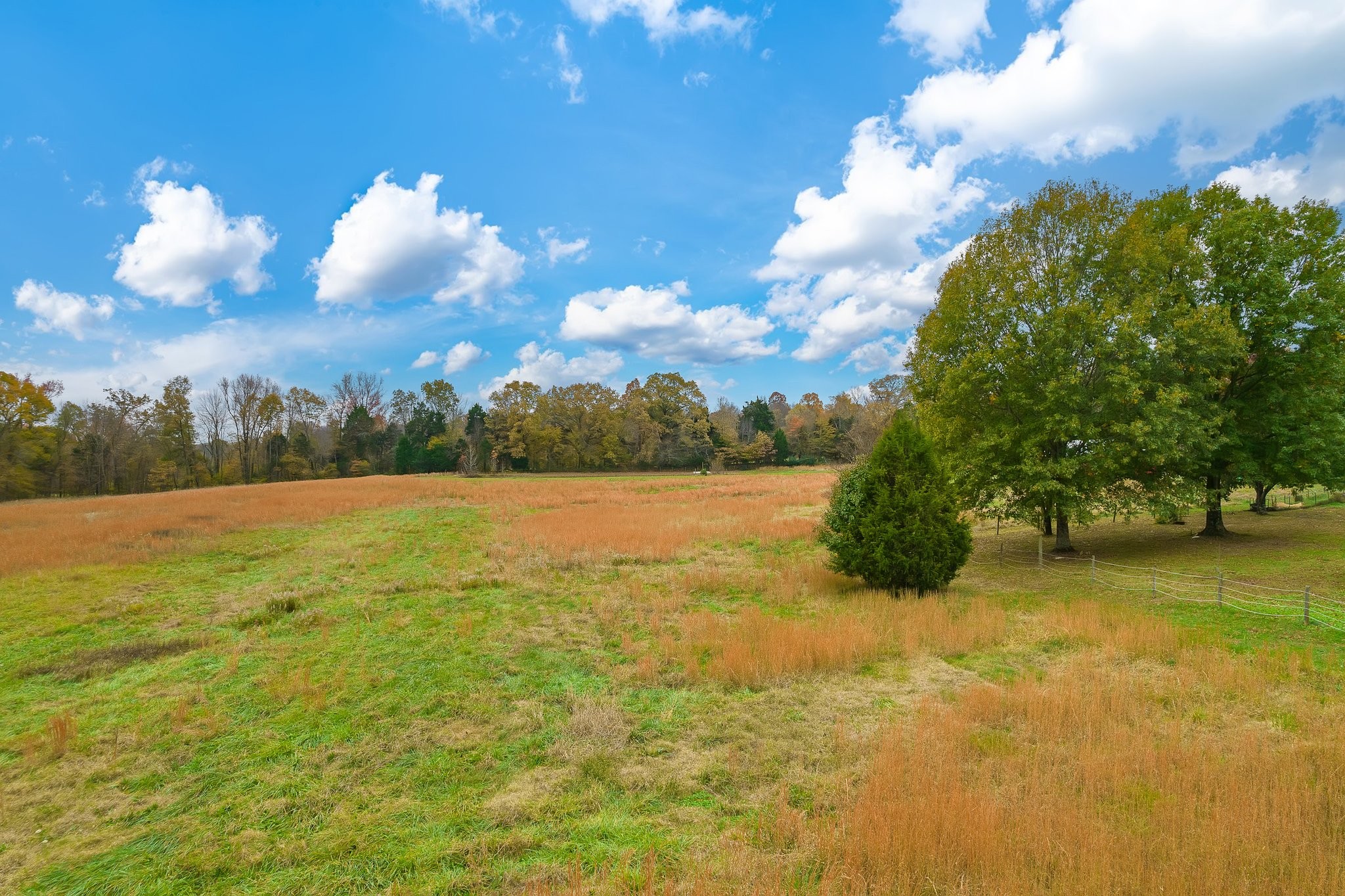 258 Mason Cemetery Road Humboldt, TN 38343 - Photo 34 of 44 Gallery Image 34