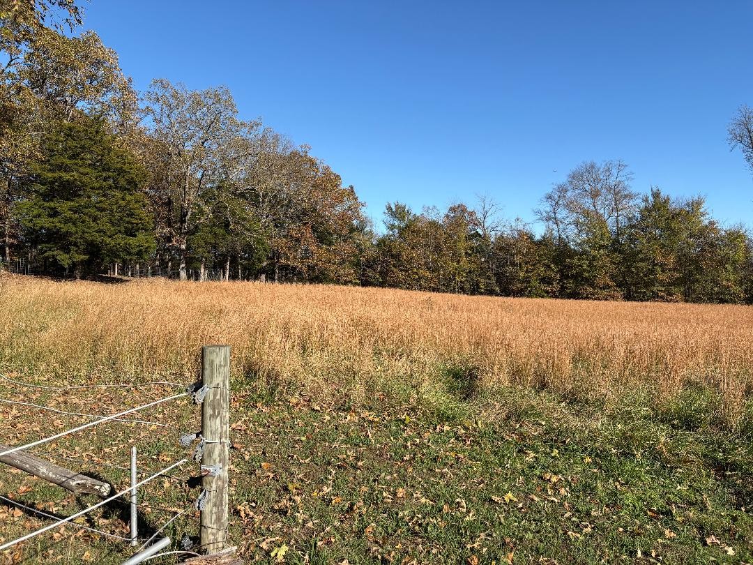 258 Mason Cemetery Road Humboldt, TN 38343 - Photo 4 of 44 Gallery Image 4