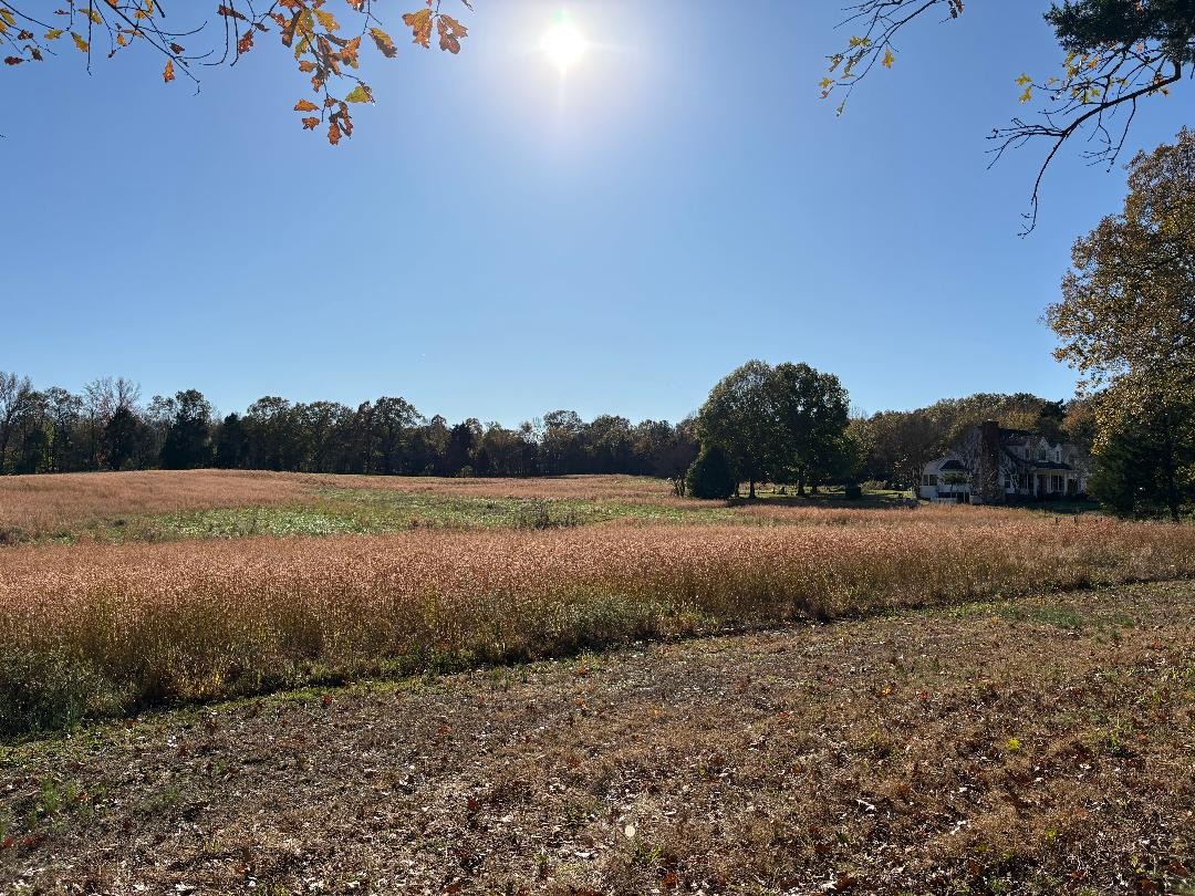 258 Mason Cemetery Road Humboldt, TN 38343 - Photo 6 of 44 Gallery Image 6