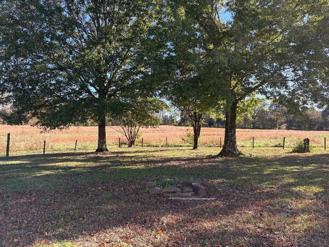 258 Mason Cemetery Road Humboldt, TN 38343 - Photo 7 of 44 Gallery Image 7